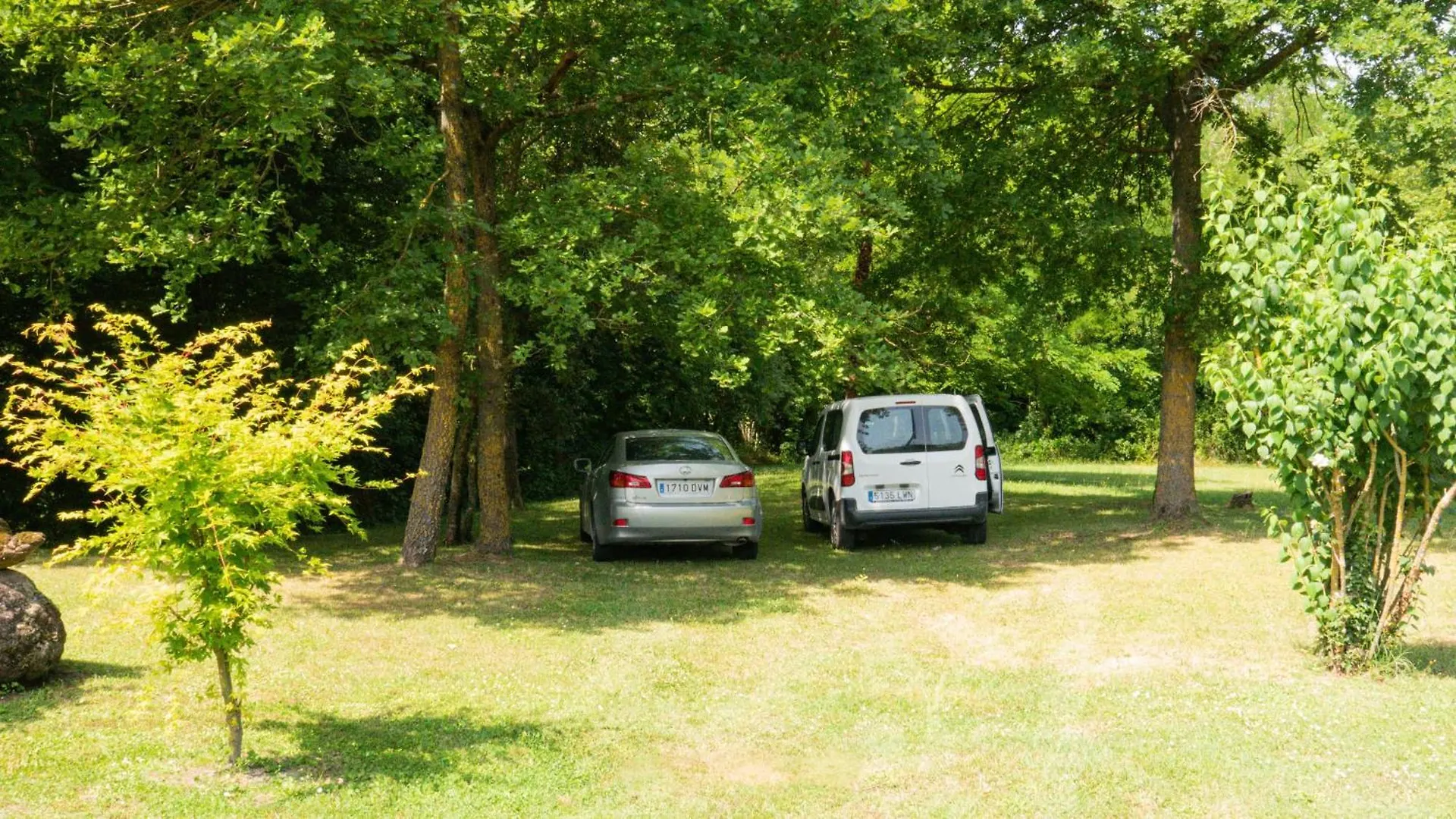 Can Baseia - Amb Jardi I Acces Privat A La Fageda Santa Pau