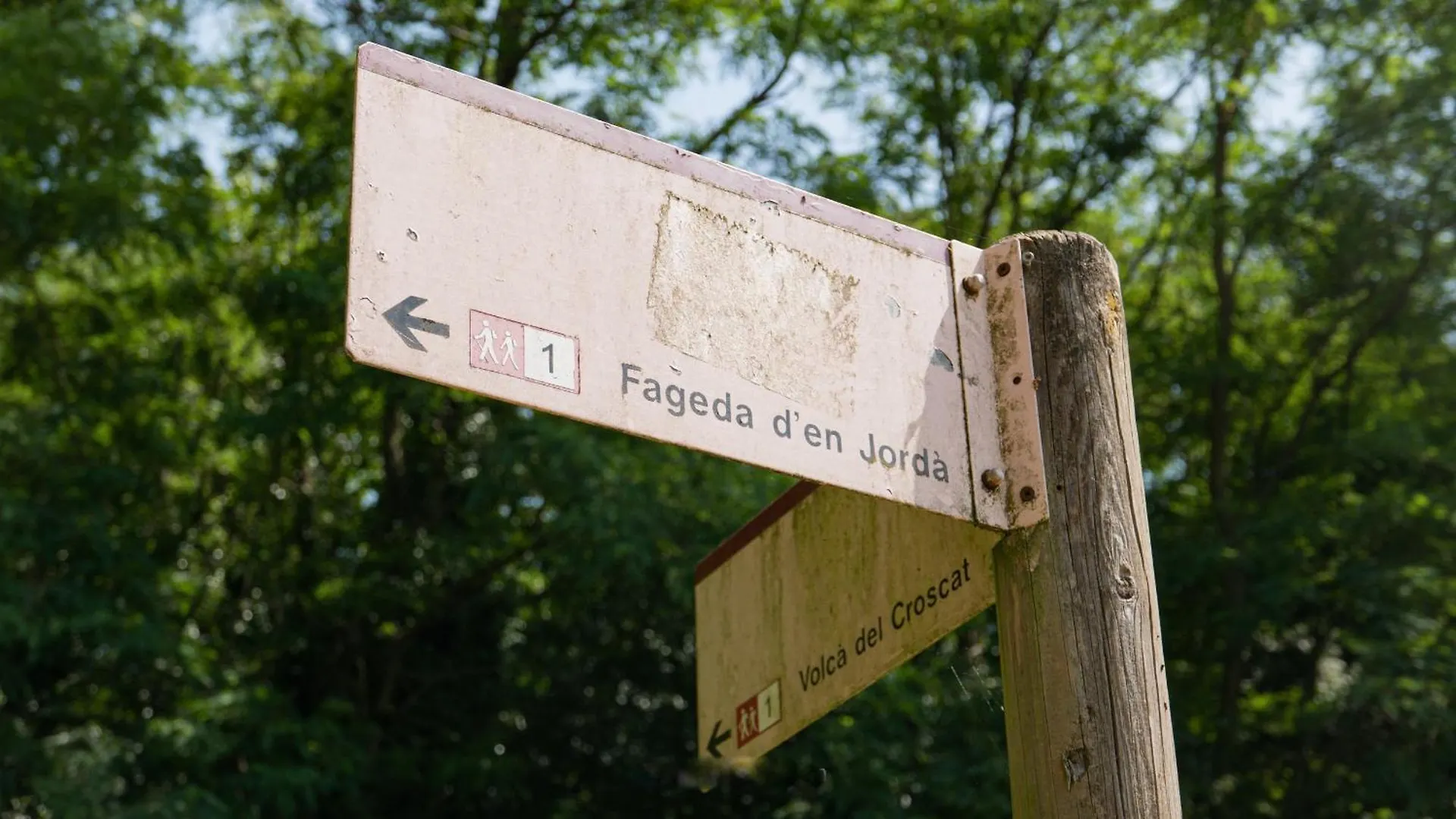 Holiday home Can Baseia - Amb Jardi I Acces Privat A La Fageda Santa Pau