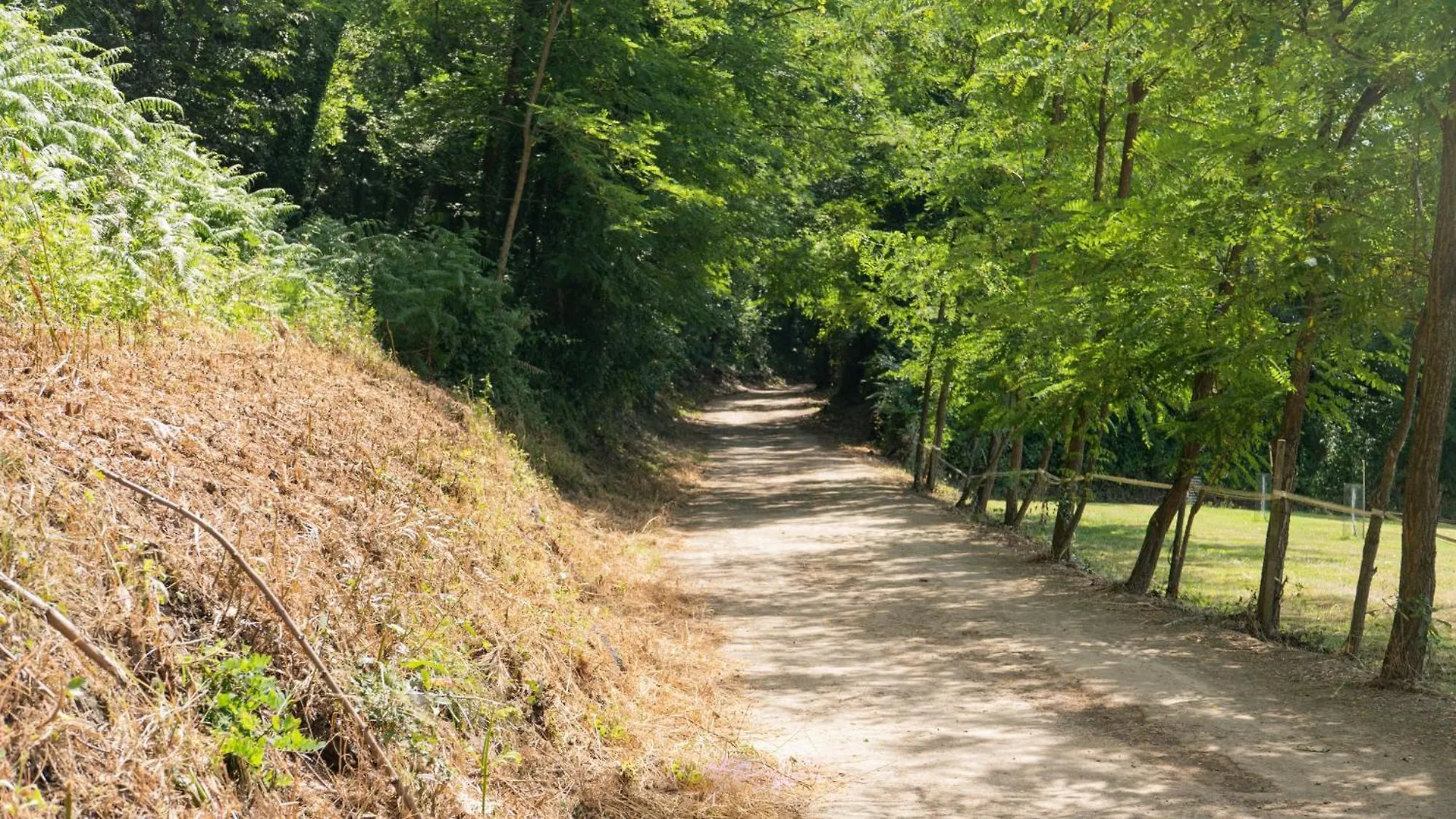 Can Baseia - Amb Jardi I Acces Privat A La Fageda Santa Pau